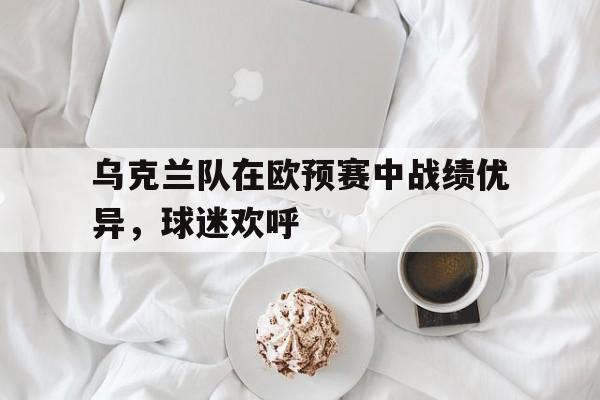 乌克兰队在欧预赛中战绩优异，球迷欢呼的简单介绍